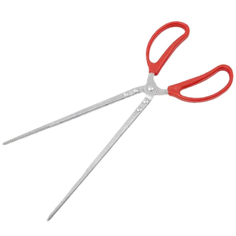 Feeding Tong Stainless - ملقط تغذية الزواحف من الفولاذ المقاوم
