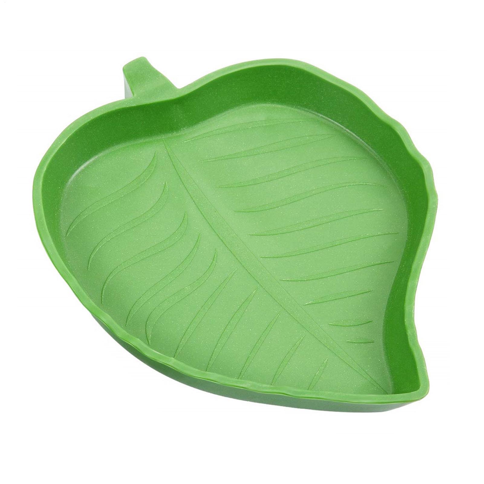 Water Dish Reptile - وعاء طعام وماء للزواحف، وعاء طعام