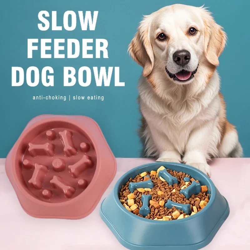 Royal Canin Food Medium - وعاء طعام للكلاب بطيء التناول مضاد