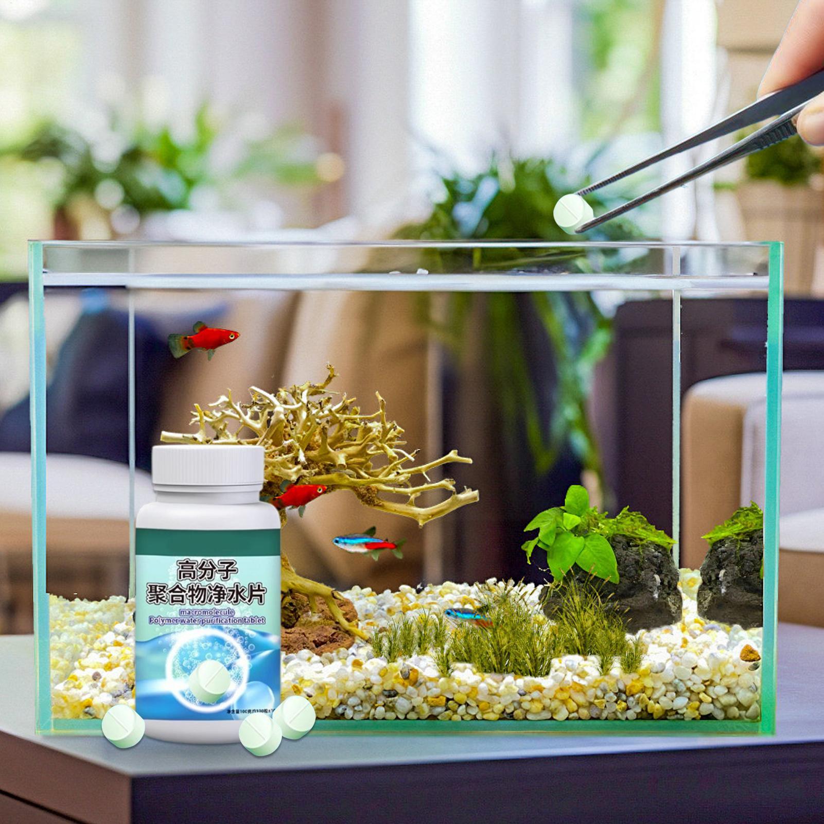 أقراص تنظيف المياه وإزالة الطح - مراجعة Water Dish Reptile وسعره