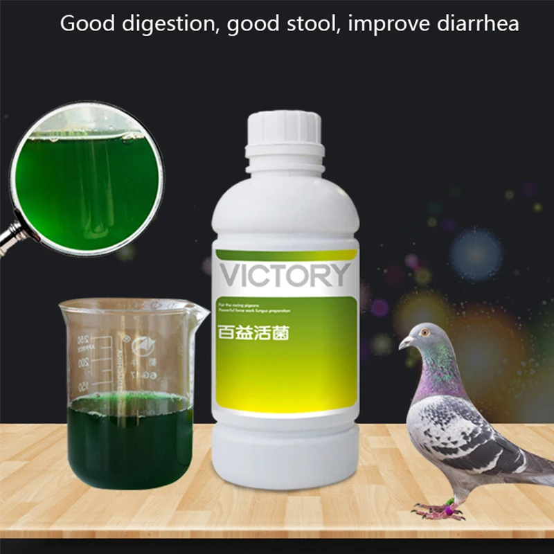 500 مللي لحم حمامة سباق حمامة  - مراجعة Vitamin D3 Reptile وسعره