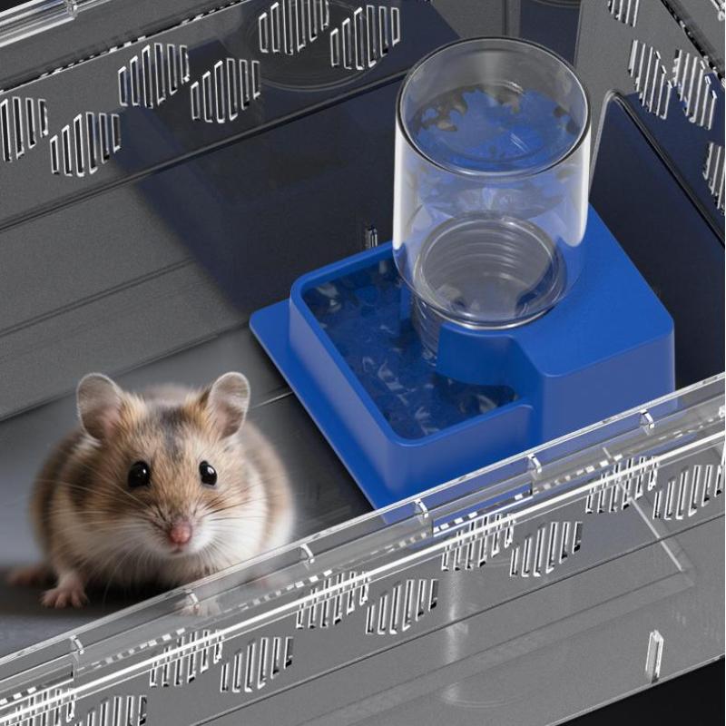 (BF06) زجاجة ماء أوتوماتيكية ل - مراجعة Water Dish Reptile وسعره