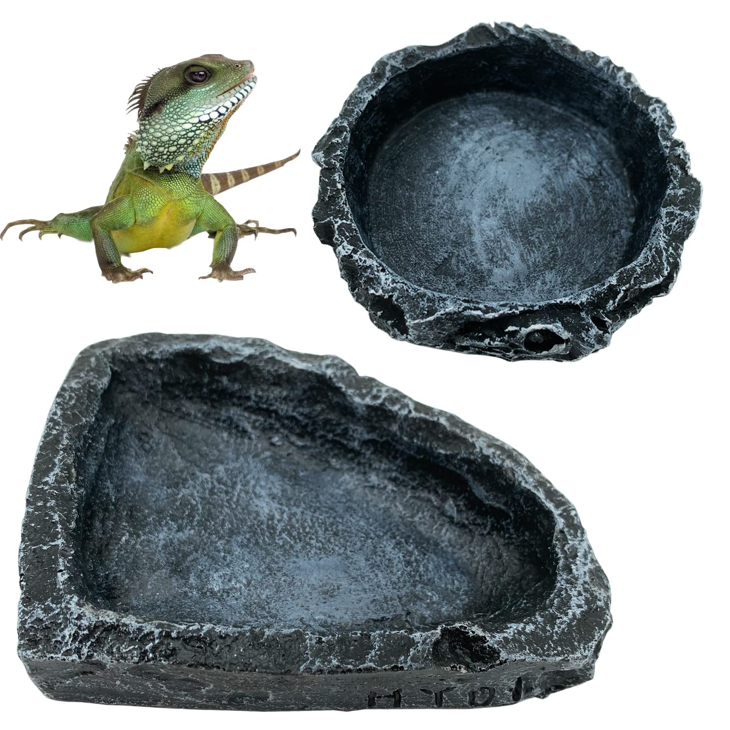 وعاء طعام وزاوية مياه للزواحف، - مراجعة Water Dish Reptile وسعره