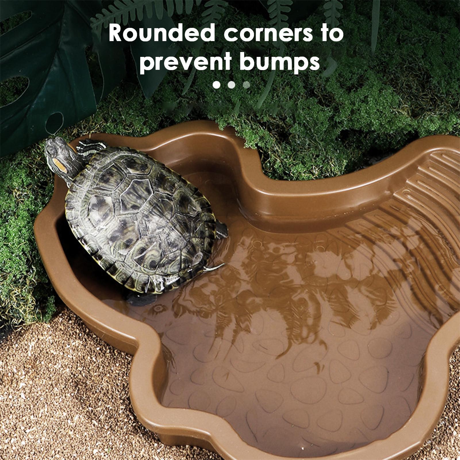 حمام سباحة للزواحف مع منحدر سل - مراجعة Water Dish Reptile وسعره