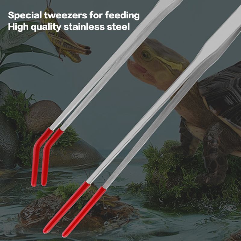 ملقط تغذية للزواحف من الفولاذ  - مراجعة Feeding Tong Stainless وسعره