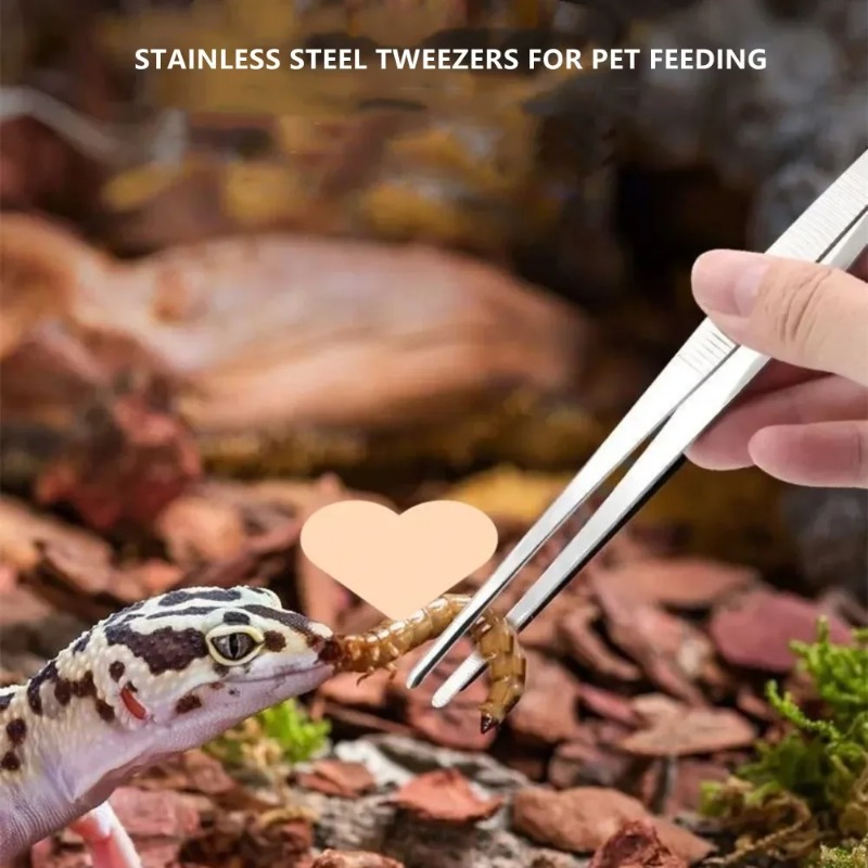ملقط متعدد الوظائف من الفولاذ  - مراجعة Feeding Tong Stainless وسعره