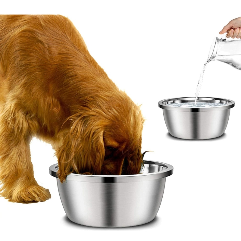 الفولاذ المقاوم للصدأ مغذيات ا - مراجعة Royal Canin Food Medium وسعره