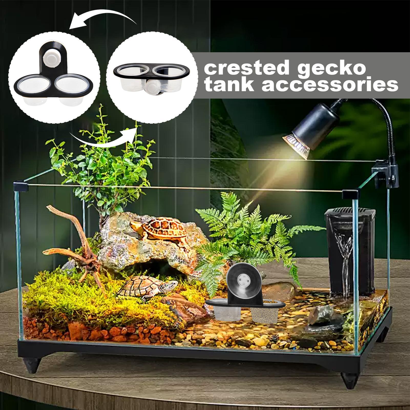 منصة تغذية للزواحف مع كوب شفط  - مراجعة Water Dish Reptile وسعره