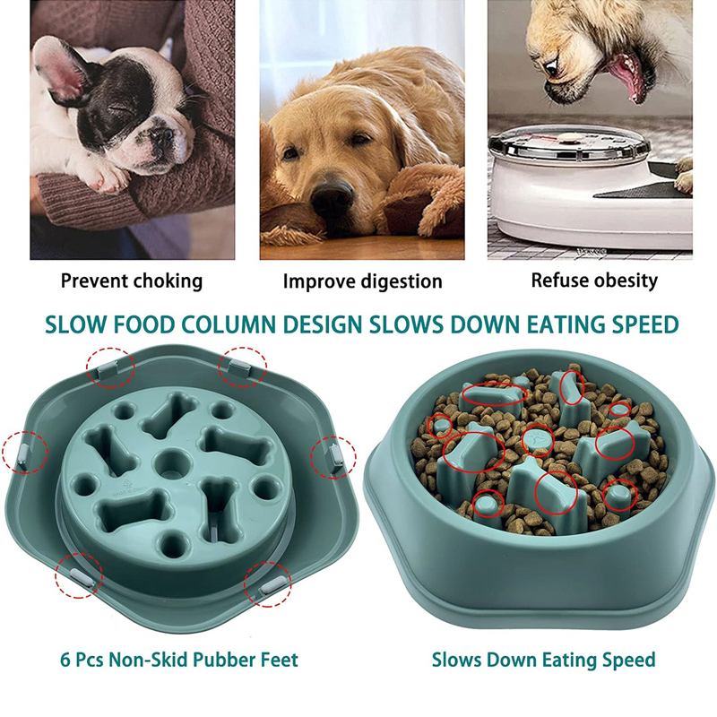 وعاء تغذية بطيئة للكلاب مضاد ل - مراجعة Royal Canin Food Medium وسعره