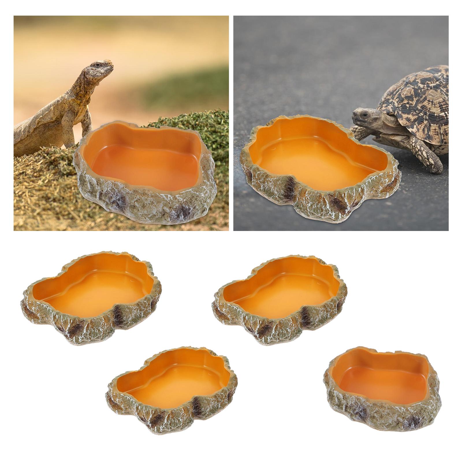 أطباق مياه الزواحف ديكور تررم  - مراجعة Water Dish Reptile وسعره