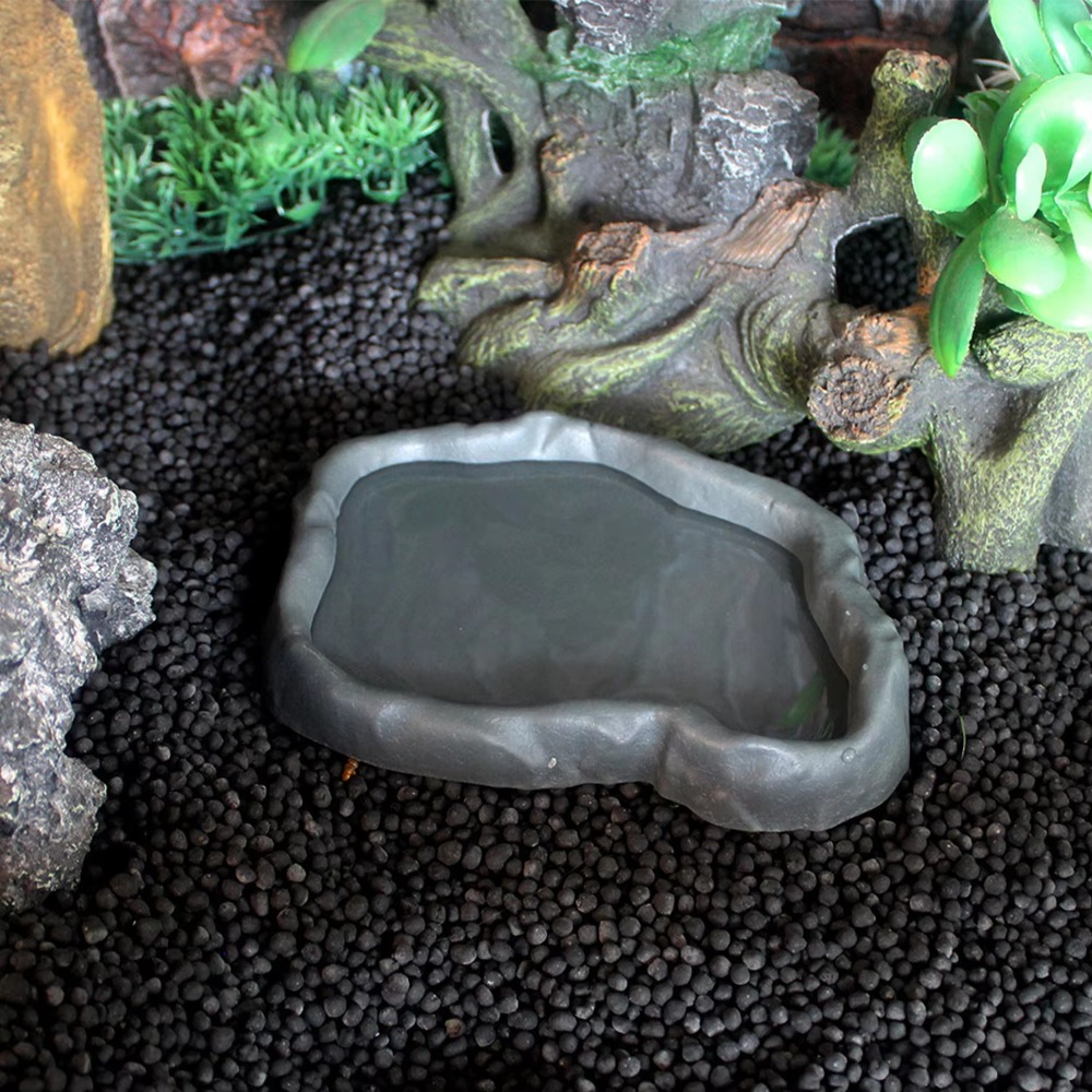 وعاء تغذية للزواحف من راتنج AB - مراجعة Water Dish Reptile وسعره