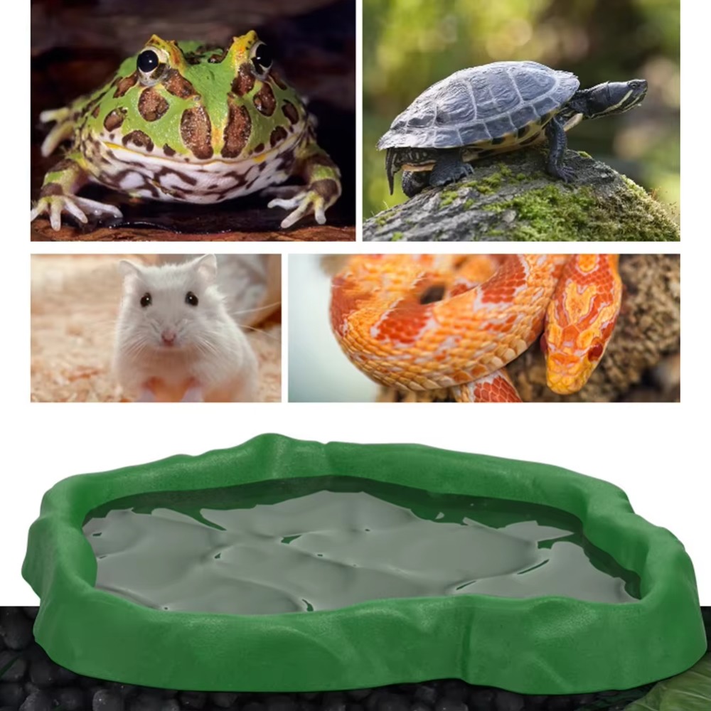 وعاء تغذية للزواحف من راتنج AB - مراجعة Water Dish Reptile وسعره