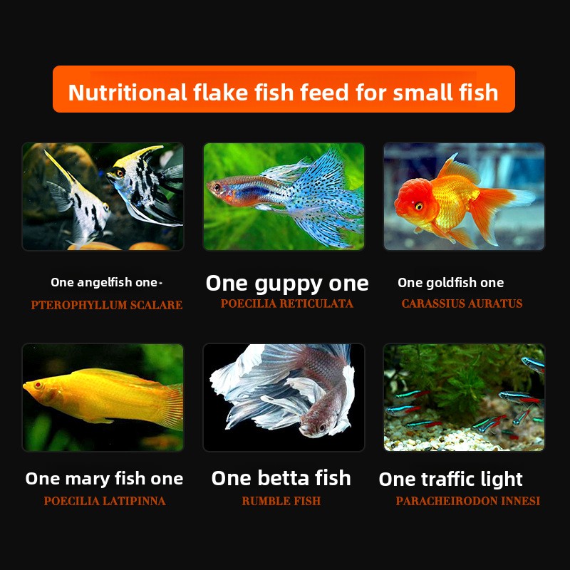 DaJiaWa Spirulina Flake Fish F - مراجعة Tetra Food Goldfish Flakes وسعره