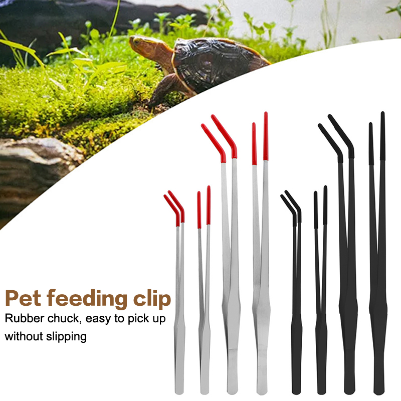 ملقط تغذية من الفولاذ المقاوم  - مراجعة Feeding Tong Stainless وسعره